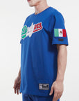 Pro Standard Los Angeles Dodgers X Mexico Wordmark Pro Team SS