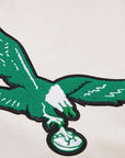 Pro Standard Philadelphia Eagles Retro Classic Hoody
