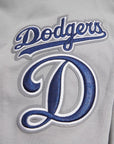 Pro Standard Los Angeles Dodgers Logo Hoody
