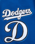 Pro Standard Los Angeles Dodgers Team Color Pullover Hoody