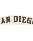 Pro Standard San Diego Padres Wingspan Drop Shoulder Hoody