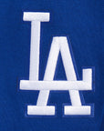 Pro Standard Los Angeles Dodgers Wingspan Drop Shoulder Blue Hoody