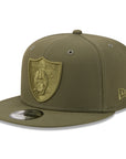 Las Vegas Raiders Olive Tonal Color Pack 9Fifty Snapback
