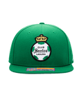 Santos Laguna Mexico Dawn Team Snapback