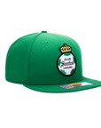 Santos Laguna Mexico Dawn Team Snapback