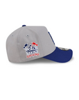 Los Angeles Dodgers Gray Royal 2 Tone 2025 World Series Champions SP 9Forty A-Frame Snapback