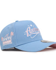 Houston Astros Cotton Candy Cacti Park SP 9Forty A-Frame Snapback