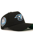 Toronto Blue Jays 30th Anniversary SP Black 9Forty A-Frame Snapback