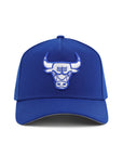 Chicago Bulls Royal 9Forty A-Frame Snapback