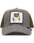 Animal Farm Bulldog Butch Gray Snapback Trucker