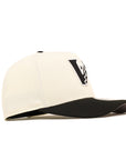 Arizona Diamondbacks Upside Down Chrome Black 2 Tone 9Fifty A-Frame Snapback