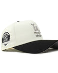 Los Angeles Dodgers Chrome Black 2 Tone 60th Anniversary SP 9Forty A-Frame Snapback