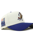 Los Angeles Dodgers Dodger Dog Chrome Royal 2 Tone Stadium 60th Anniversary SP 9Forty A-Frame Snapback