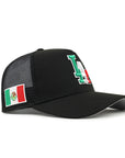 Los Angeles Dodgers Black Mexico Flag SP 9Forty A-Frame Trucker Snapback
