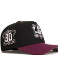 Anaheim Ducks Black Plum 2 Tone 30th Anniversary SP NHL 9Forty A-Frame Snapback
