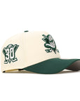 Anaheim Ducks Chrome Green 2 Tone 30th Anniversary SP NHL 9Forty A-Frame Snapback