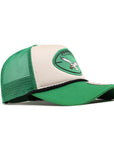 Philadelphia Eagles Stone Team Color 9Forty A-Frame Foam Trucker Snapback