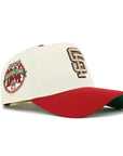 San Francisco Giants Chrome Pinot 2 Tone 1984 All Star Game SP 9Forty A-Frame Snapback