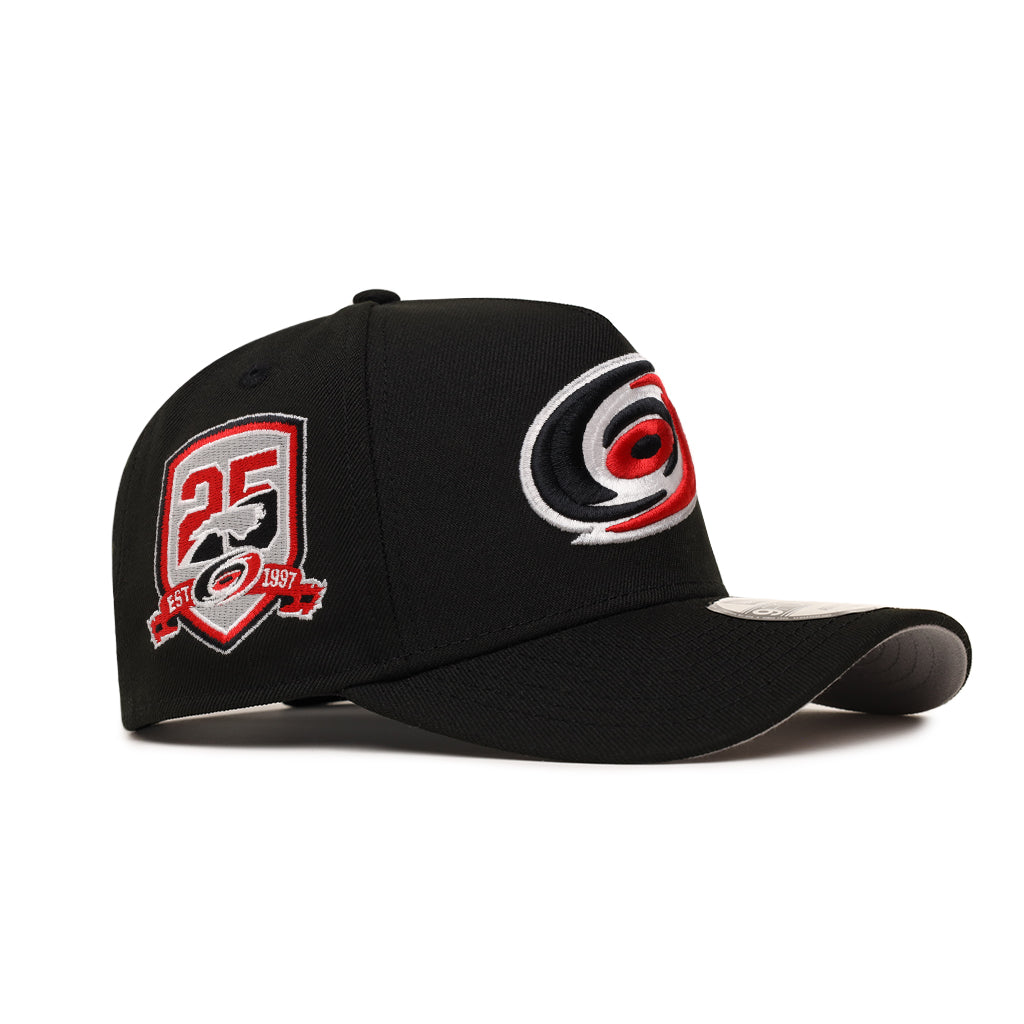 Carolina Hurricanes 25th Anniversary SP NHL Black 9Forty A-Frame
