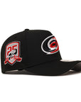 Carolina Hurricanes 25th Anniversary SP NHL Black 9Forty A-Frame Snapback