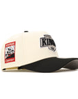 Los Angeles Kings Chrome Black 2 Tone Staple Center SP NHL 9Forty A-Frame Snapback