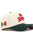 Los Angeles Dodgers Los Dodgers Chrome Green 2 Tone Mexico Flag SP 9Forty A-Frame Snapback