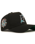 Florida Marlins 10th Anniversary SP Black 9Forty A-Frame Snapback