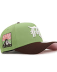 CrownMinded X Mexico Matcha Walnut Sunrise Over Chichén Itzá SP SP 9Forty A-Frame Snapback