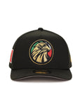 Mexico Black Gold Eagle Mexico Flag SP 9Fifty A-Frame Snapback