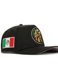 Mexico Black Gold Eagle Mexico Flag SP 9Fifty A-Frame Snapback