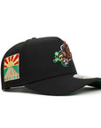 CrownMinded X Mexico Soccer Eagle Sunrise Over Chichén Itzá SP Black 9Forty A-Frame Snapback