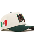 CrownMinded X Mexico Chrome Green 2 Tone Feathered Eagle Mexico Flag SP 9Forty A-Frame Snapback