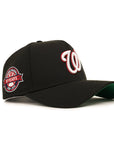 Washington Nationals 10th Anniversary SP Black 9Forty A-Frame Snapback