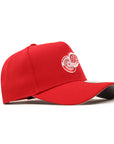 Detroit Red Wings 9Forty A-Frame Team Color Snapback