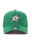 Dallas Stars 9Forty A-Frame Team Color Snapback