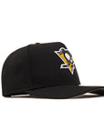 Pittsburgh Penguins Team Color 9Fifty A-Frame Snapback