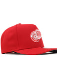 Detroit Red Wings Team Color 9Fifty A-Frame Snapback