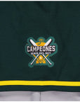 Pericos De Puebla Club De Beisbol LMB Gray Green Away Jersey