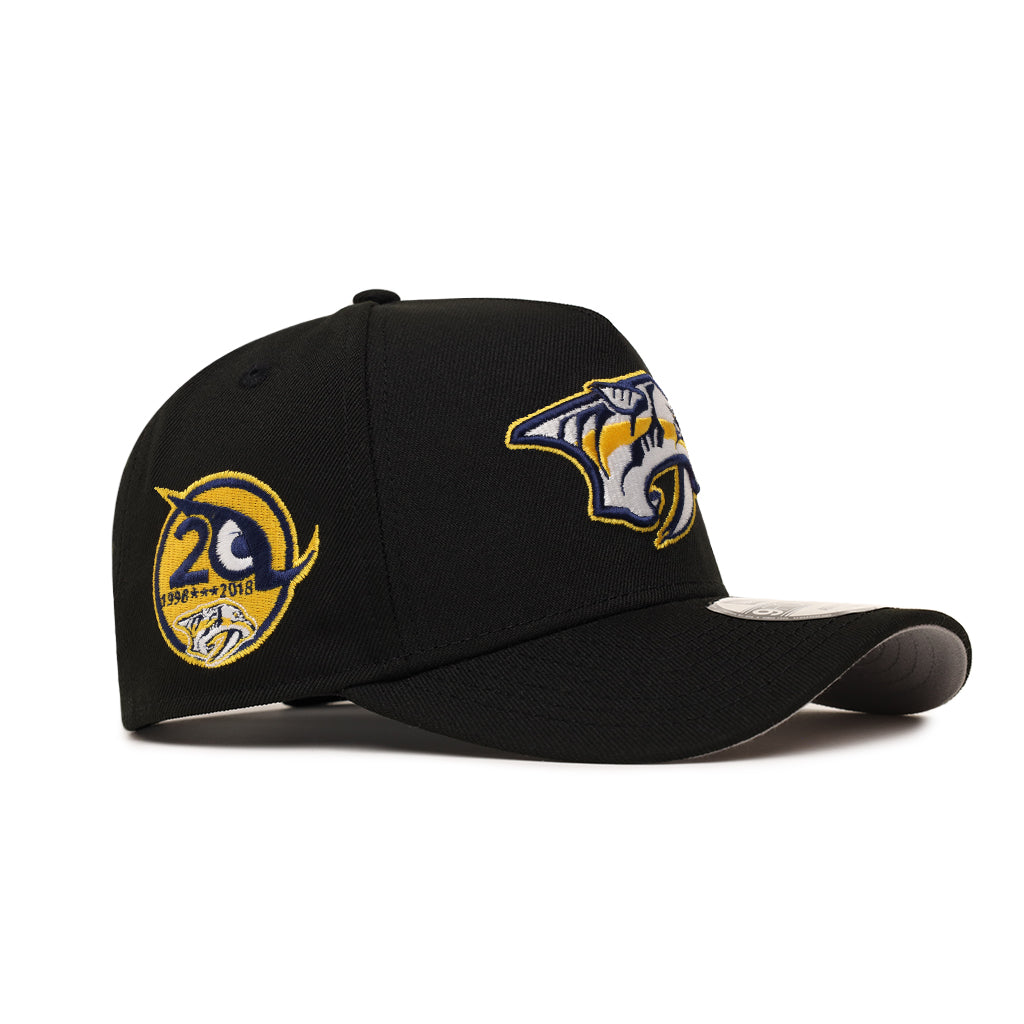 Nashville Predators 20th Anniversary SP NHL Black 9Forty A-Frame
