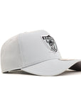 Oakland Raiders Cooperstown 9Forty A-Frame Team Color Snapback