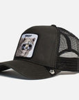Animal Farm Bandit Black Snapback Trucker