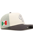 Guerreros De Oaxaca Club De Beisbol Tri-Color Mexico Flag Side Patch 9Forty A-Frame Snapback
