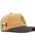 Guerreros De Oaxaca Club De Beisbol Bronze Gray 2 Tone Mexico Flag SP 9Forty A-Frame Snapback