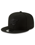 Miami Dolphins Black On Black NFL 9Fifty Snapback
