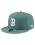 Boston Red Sox City Connect 9Fifty Snapback