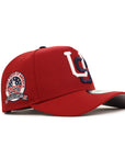 CrownMinded X USA Dark Red 250th Anniversary SP 9Forty A-Frame Snapback