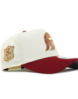 University Of Southern California USC Trojans SC Shield SP Chrome Cardinal 9Forty A-Frame Snapback