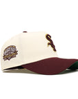 Chicago White Sox Chrome Maroon 2 Tone Comiskey Park 95th SP 9Forty A-Frame Snapback