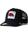 Animal Farm Lady Bug Spot Black Snapback Trucker