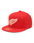 American Needle Detroit Red Wings NHL Fitted Cap